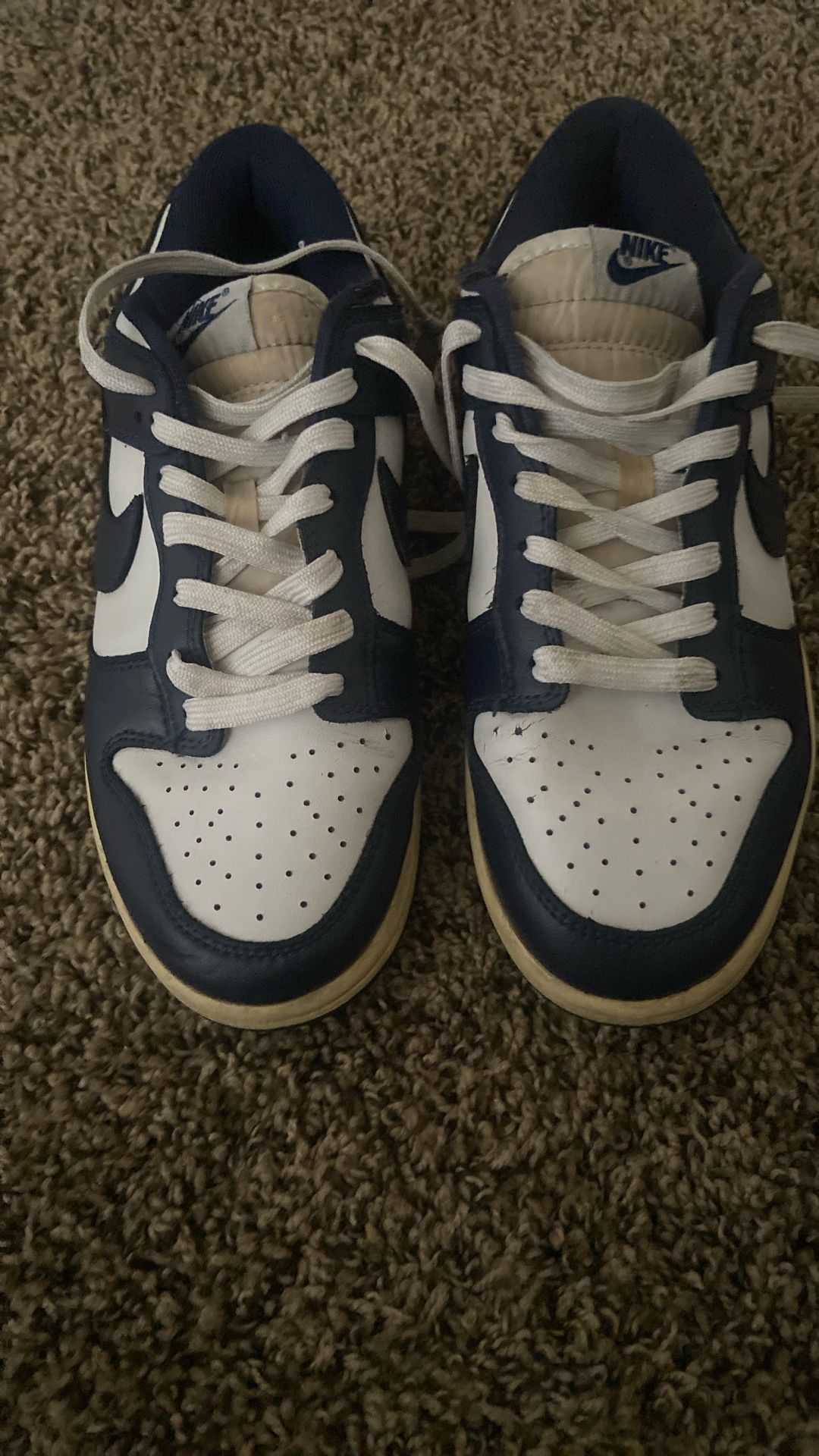 Nike Dunks