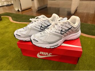 Nike air Pegasus metallic platinum size 11 US men's