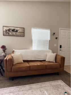 Brown Couch