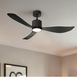 Large ceiling fan