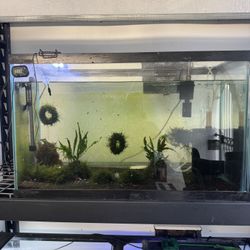 Se Vende Acuario De 30 Galones Con Todo Incluido 