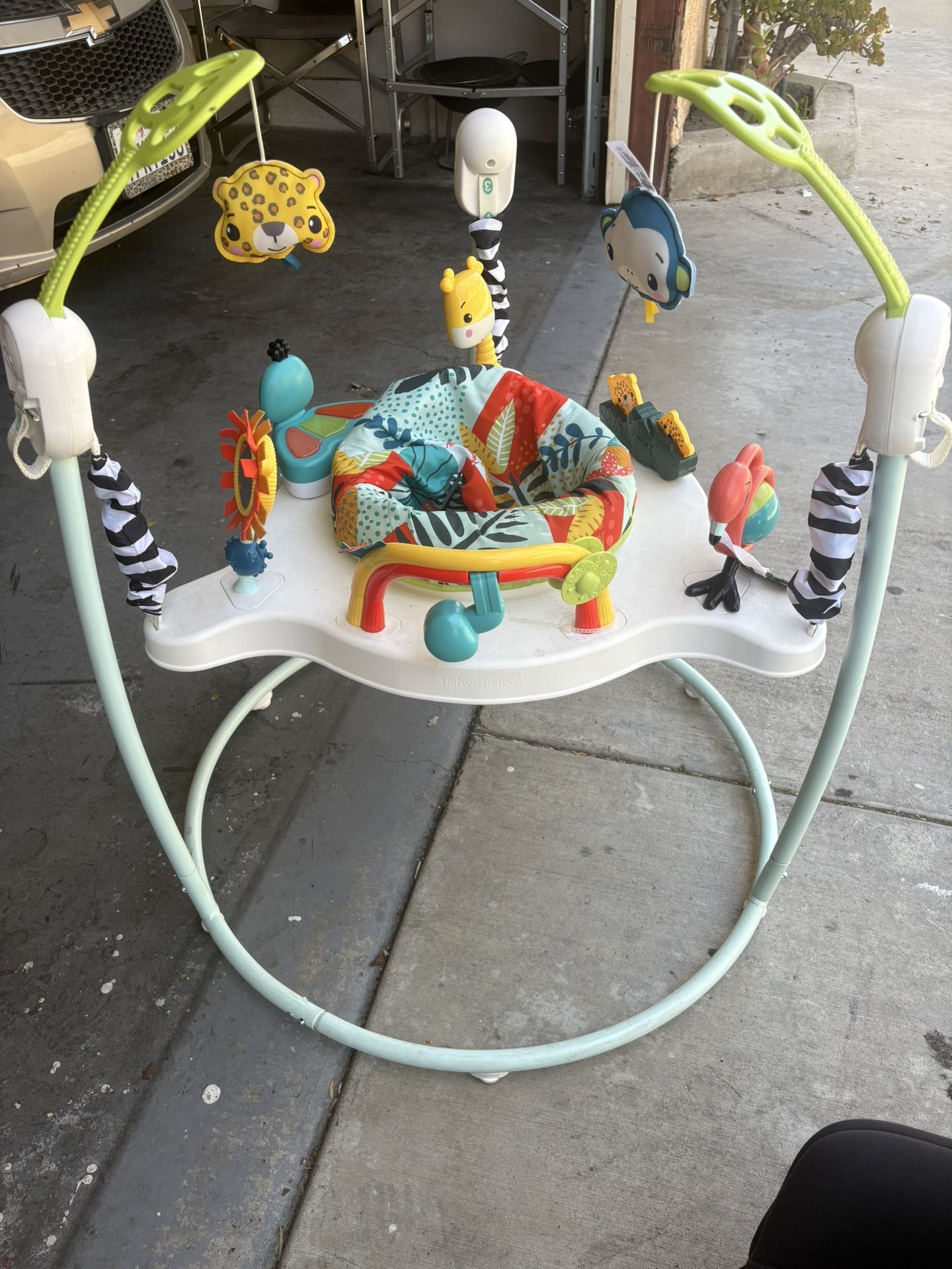 Baby Bouncer
