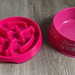 Plato Para Comida De Perros 