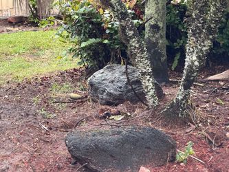3 very large landscape rocks -Free