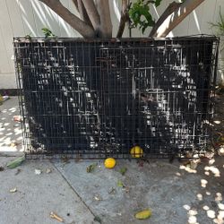 Free Dog Cage