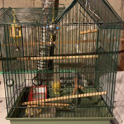 Bird Cage