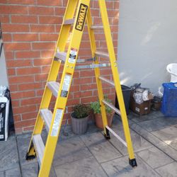 6 Foot DeWalt Ladder 