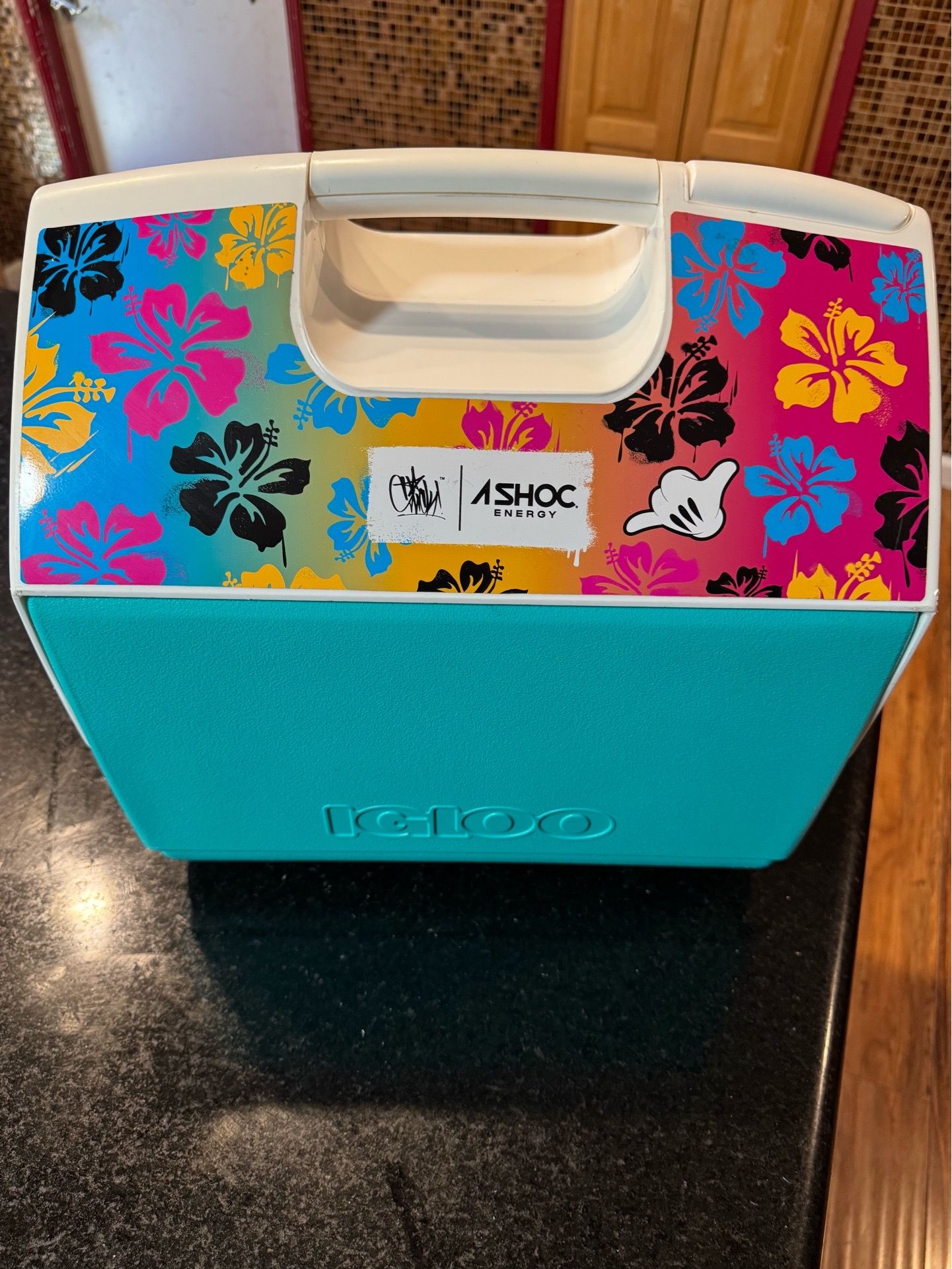 Igloo Cooler