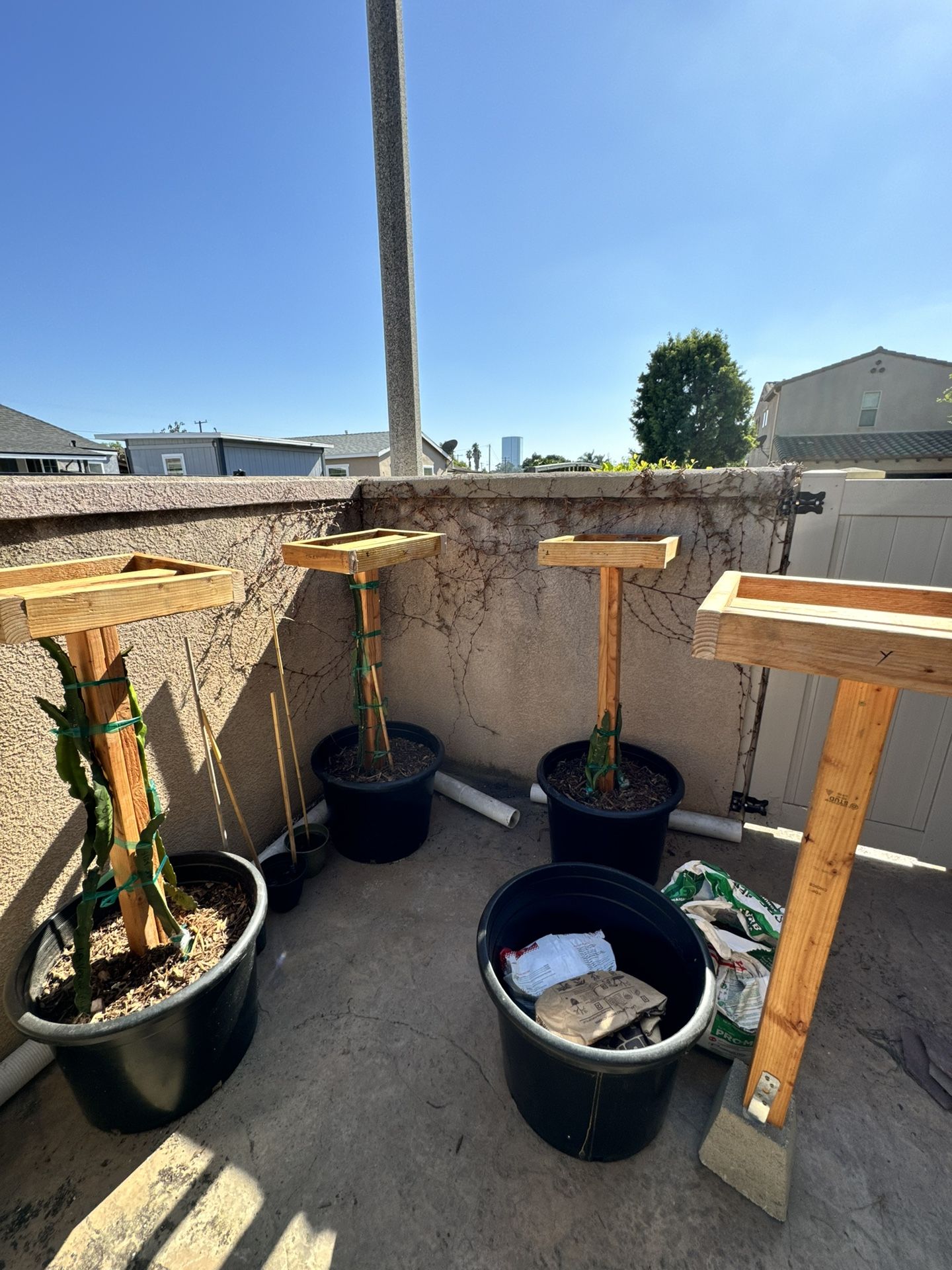 Trellis (4 ) Perfect for Dragon Fruit