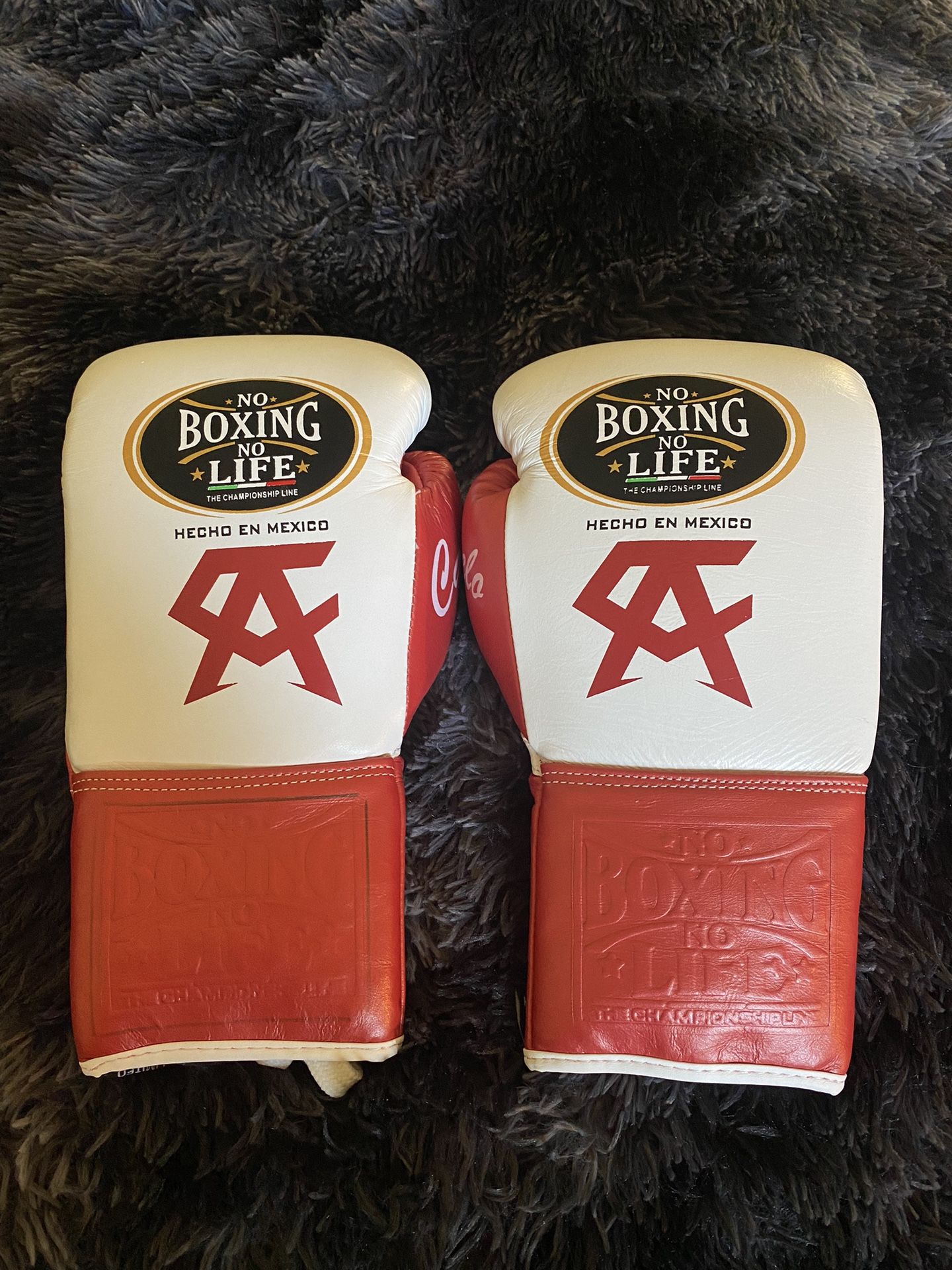 No Boxing No Life 12 8oz Canelo Gloves reps Mixed martial arts Boxing