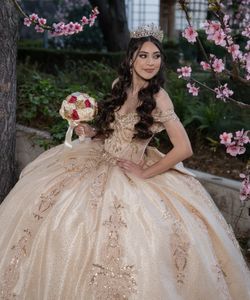 Quinceañera Fotografía 