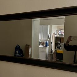 Lg Mirror 