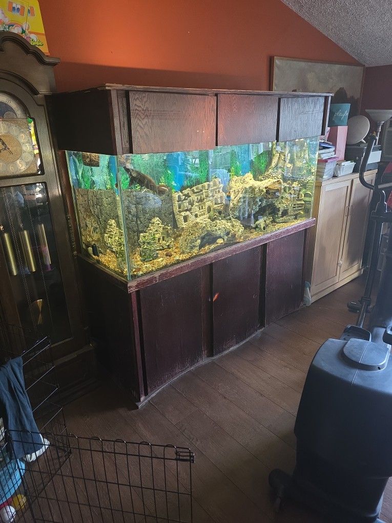 Fish tank with stan ,rocks, filter