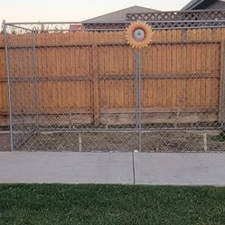 Dog Run 