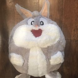 Six Flag Bunny Rabbit Pickup In Southwest Bakersfield 