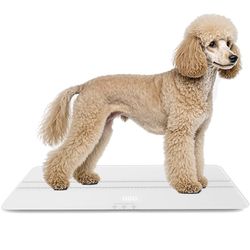 Scale (wide) for Pets or People