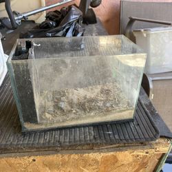 2.5 gallon fish tank