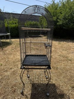 Big Bird Cage