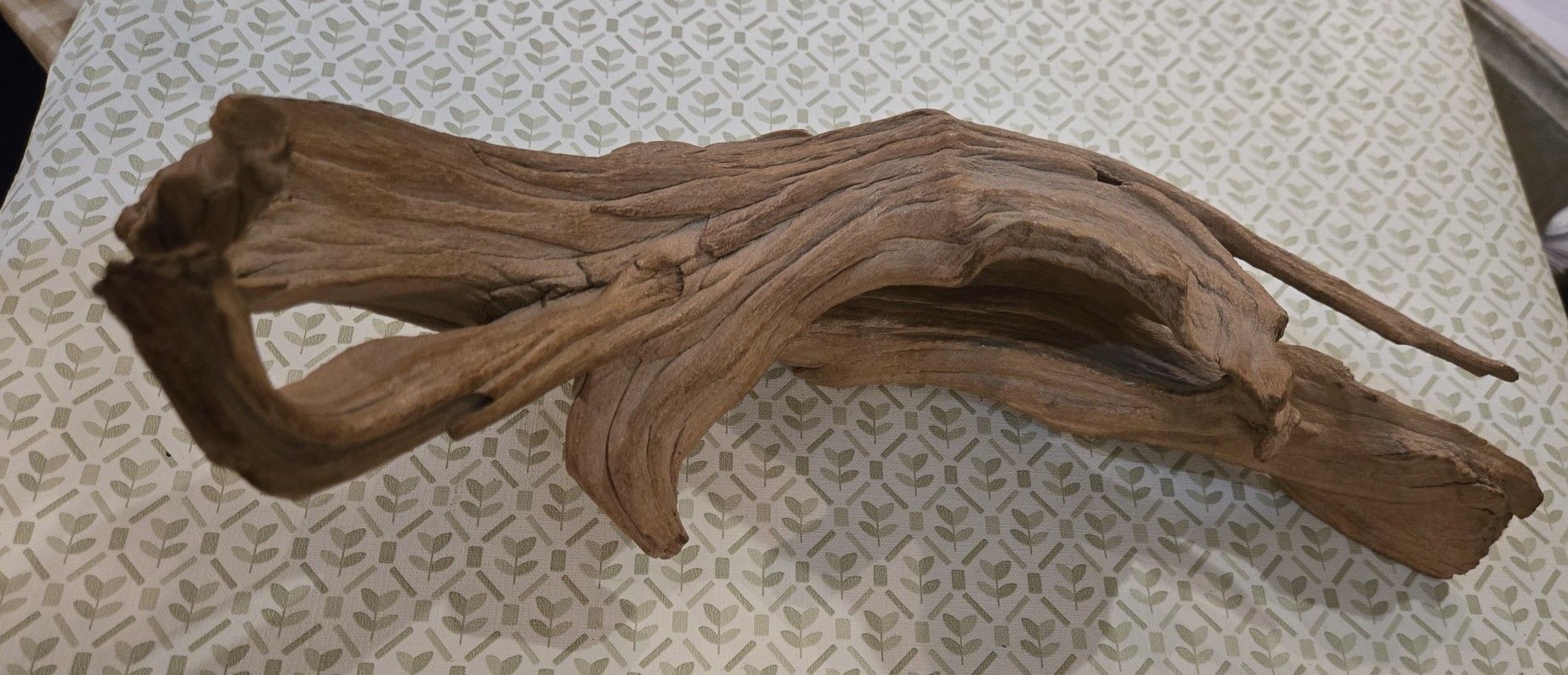 Large Heavy Drift Wood