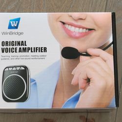 Voice Amplifier