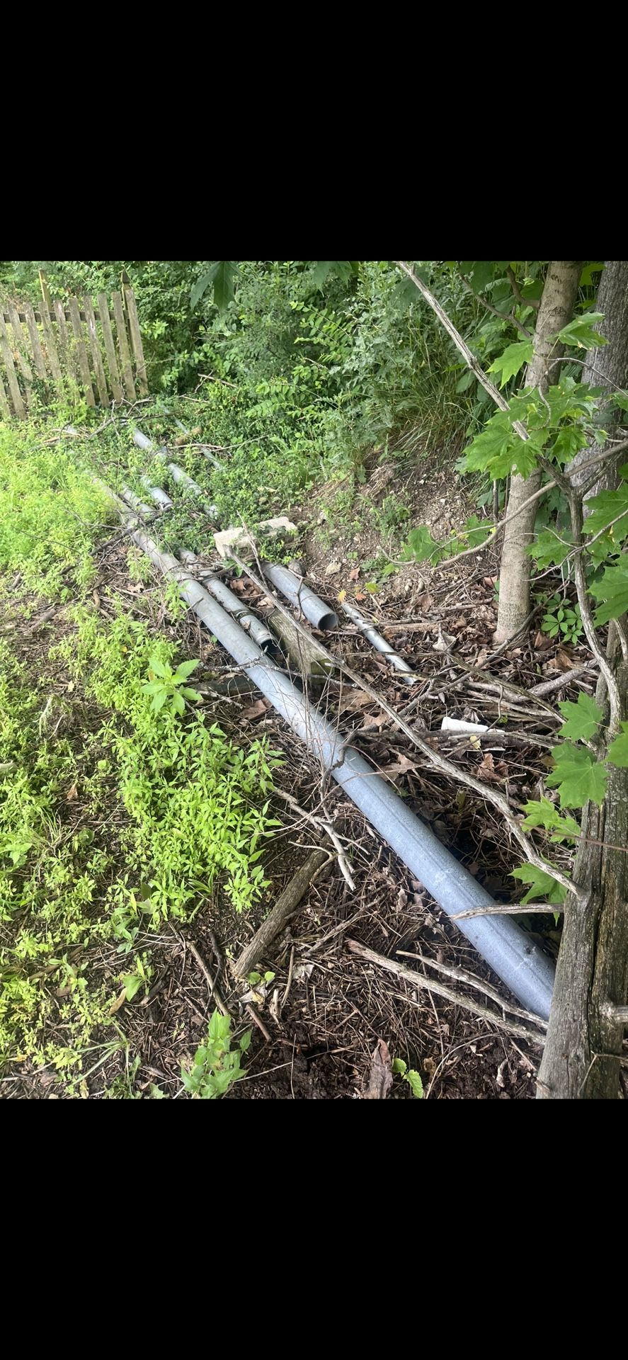 Poles 10 To 15 Feet