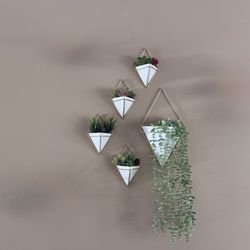 5 Set Umbra Trigg Hanging Planter Vase Wall Decor 