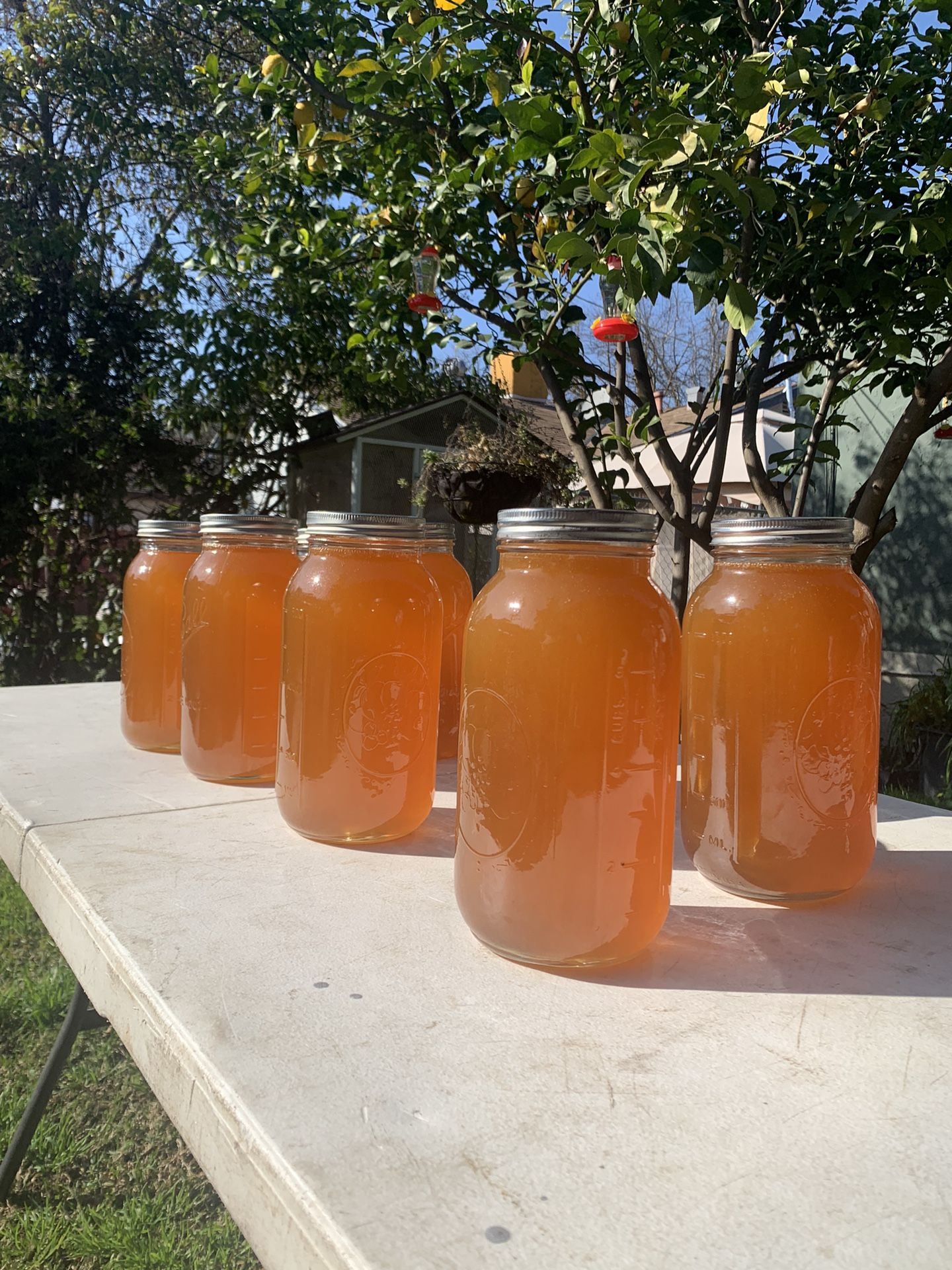 Local Honey From Central Valley