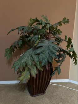 Plant decor
