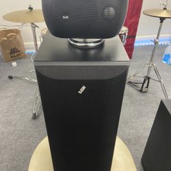 Speaker/Receiver Combo