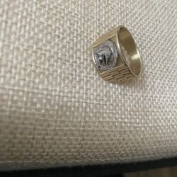 10k Horse Ring 