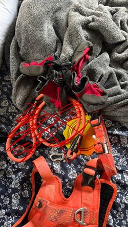 Arcada Trail Dog Harness