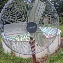 A Shop Fan 