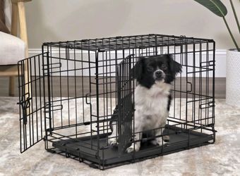 Vibrant Life Foldable 2-Door 22" Wire Crate for Dogs with Divider and Leak-Proof Tray at Greenway and Grand