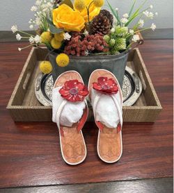 Coach Larisa Cale Flower Sandals Size 9
