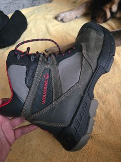 Wolverine  size  11