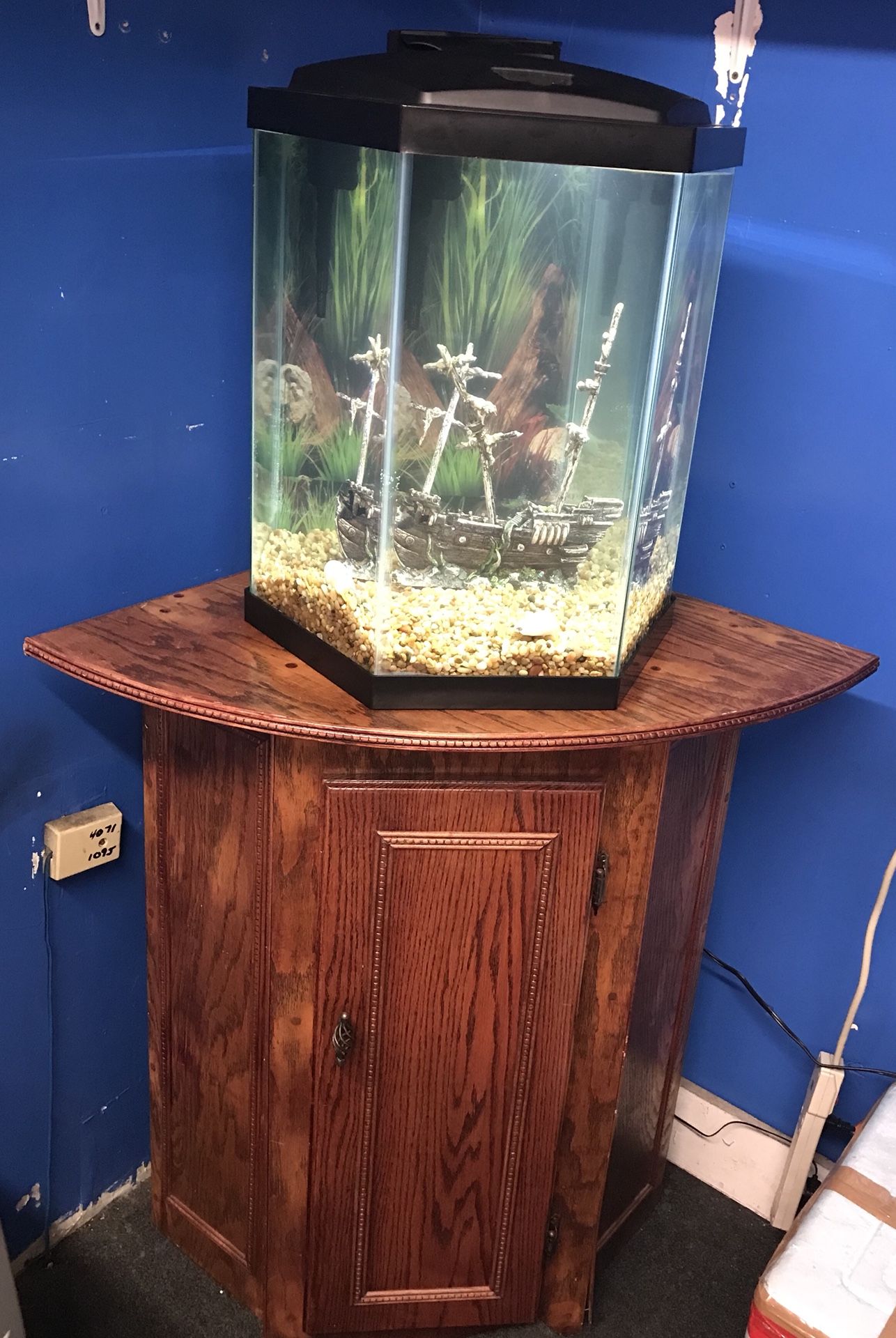 20 gallon Hexagon Aquarium fish tank complete set up $100
