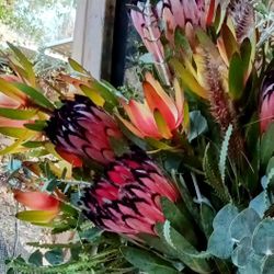 Mother's Day Fresh Flowers Rare Exotic