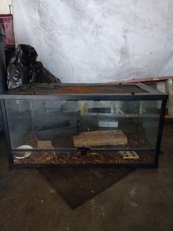 Large Glass Reptile Terrarium Enclosure 36 gallon