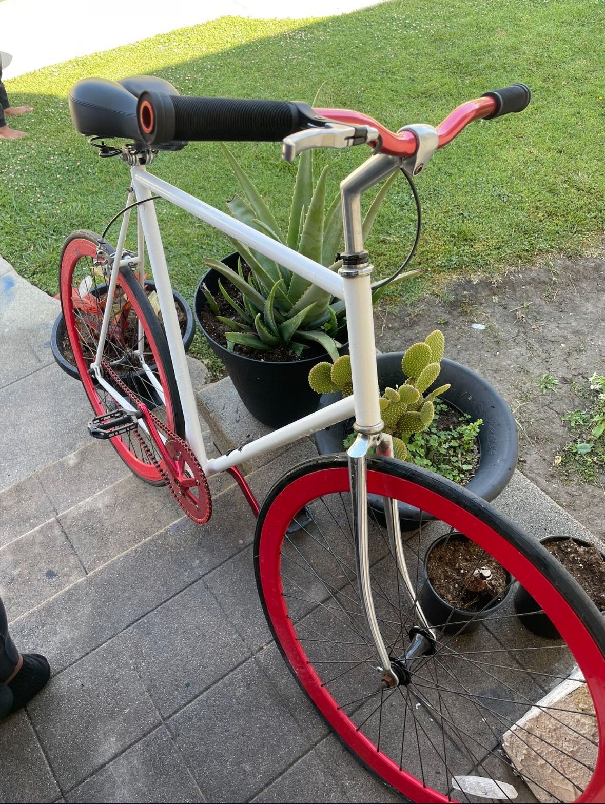Fixie Bike