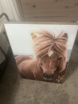 Glass Horse Picture Art