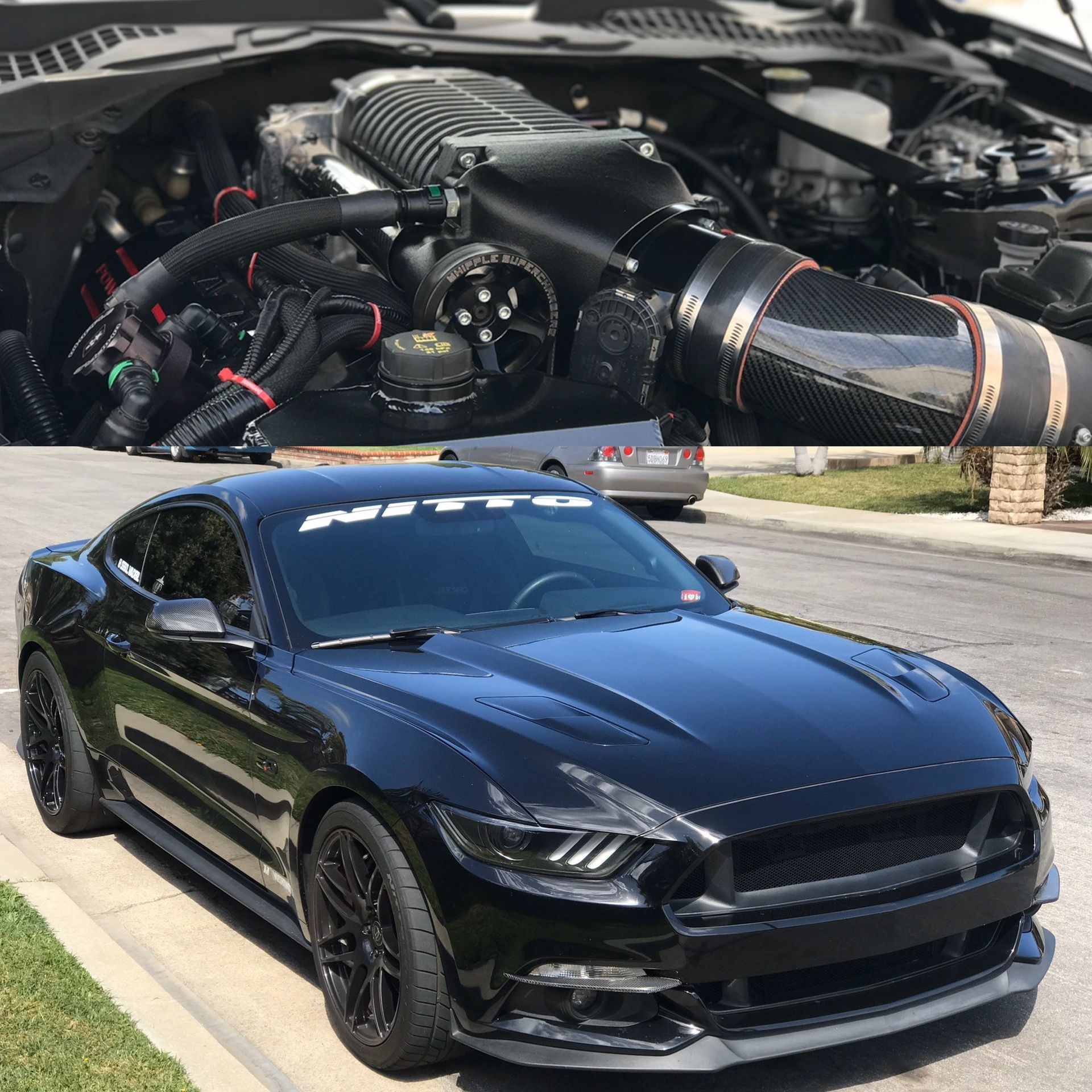 Mustang gt performance package with Whipple Supercharger