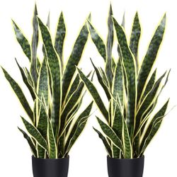 Artificial 2 Pack Snake Plant