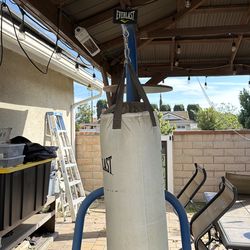 Punch bag with stand