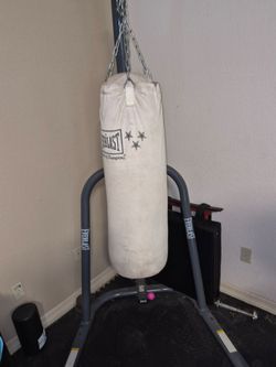 Everlast Punching Bag
