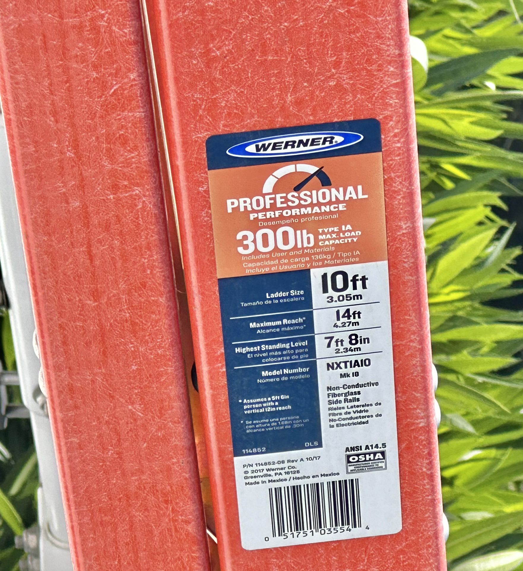 Werner Ladder 10 Ft
