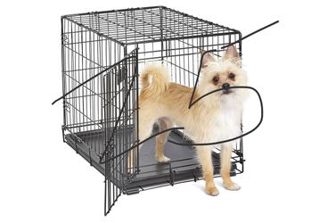 Small/medium Pet  create