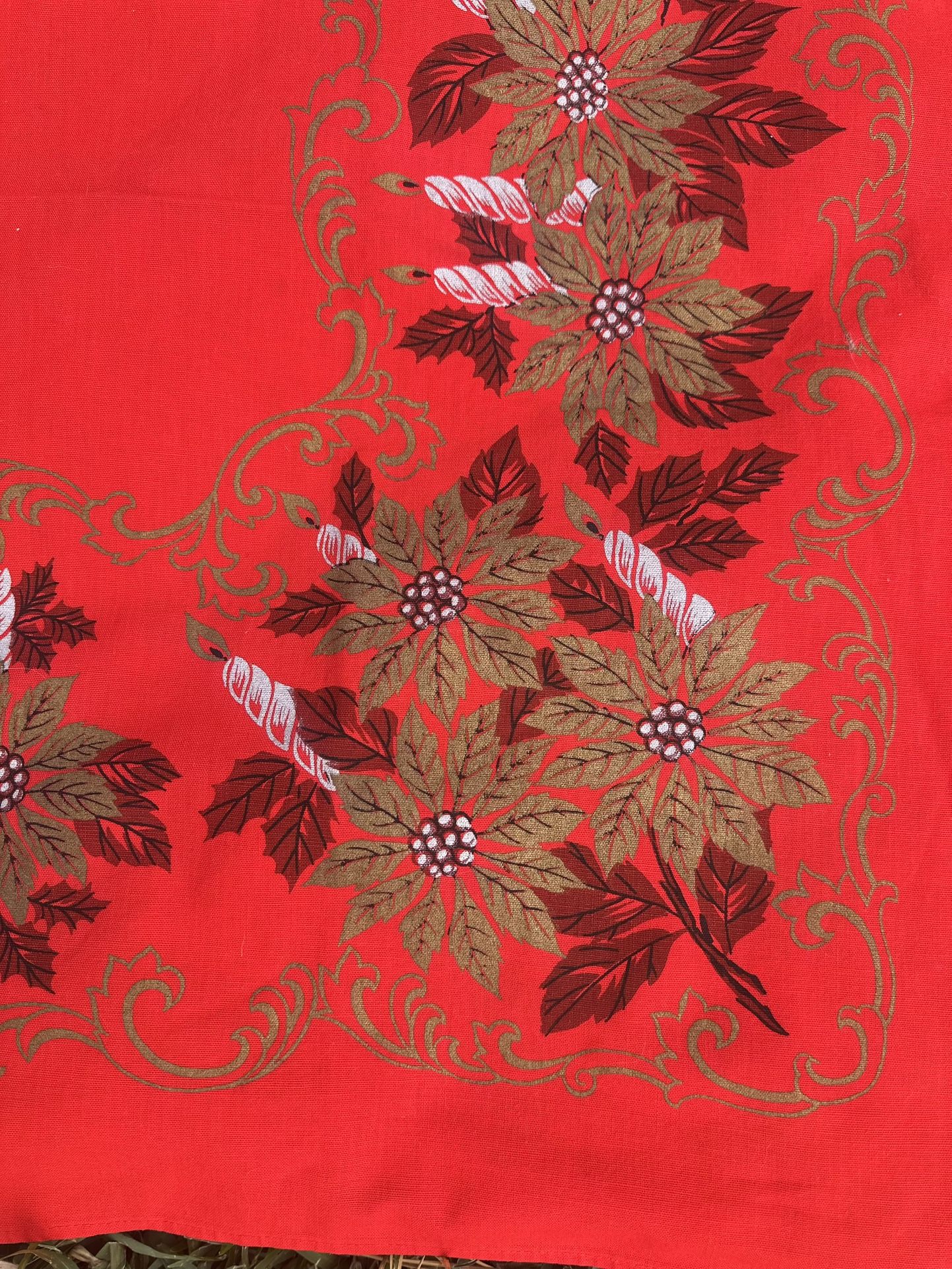 Beautiful vintage tablecloth