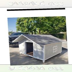 magazine skin Outdoor Pet Houses - Reliable Homes for Cheerful Pets