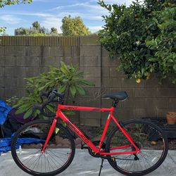 GREAT CONDITION 28” KENT TELLICO ADULT ROAD BIKE