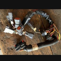 H-D wire harness